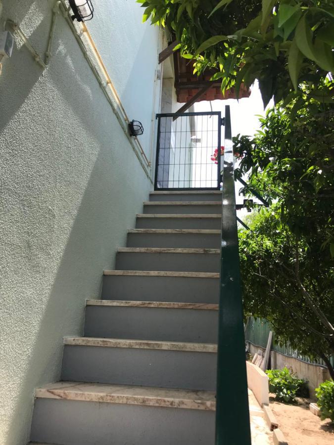 Casa Almenara Daire Quinta do Anjo Dış mekan fotoğraf